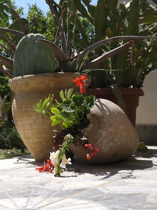 Color Villa - South Paradise 1