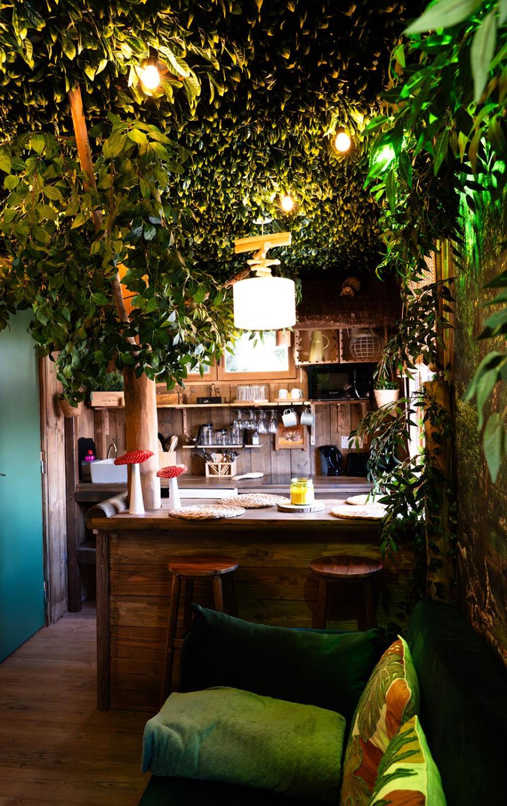 Les Chambres de Paulette à Theme LA JUNGLE ROOM