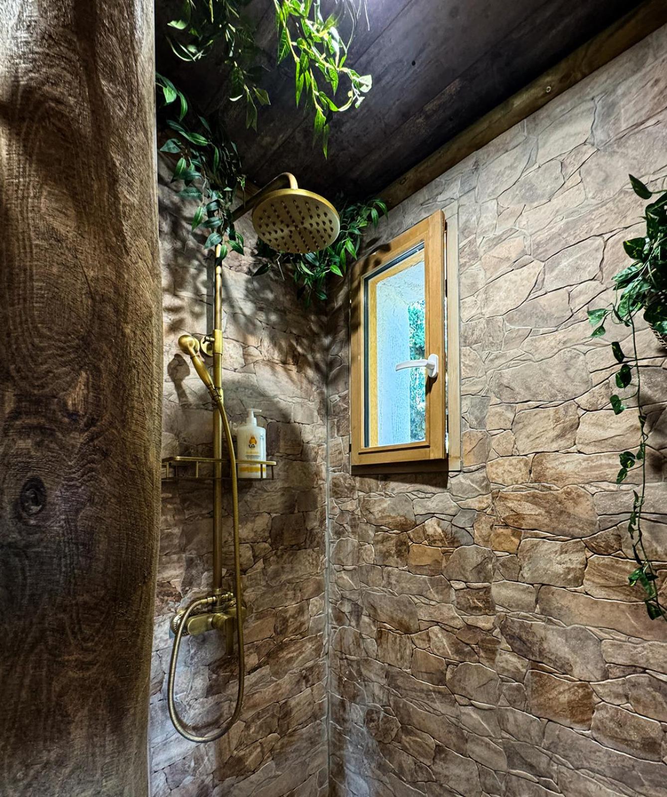 Les Chambres de Paulette à Theme LA JUNGLE ROOM