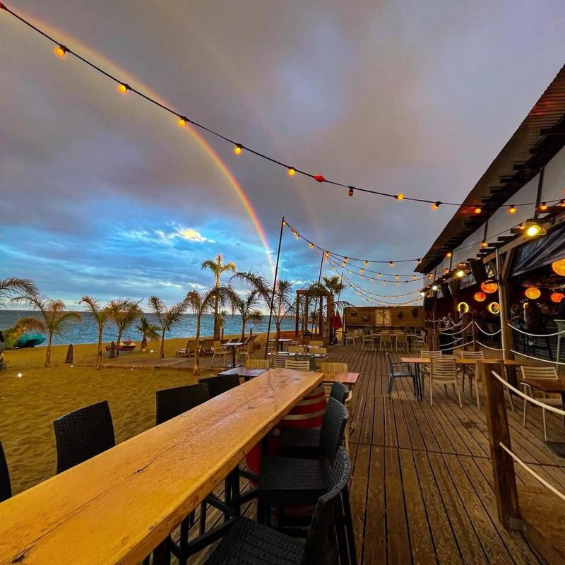 Les Chambres de Paulette à Theme LA JUNGLE ROOM