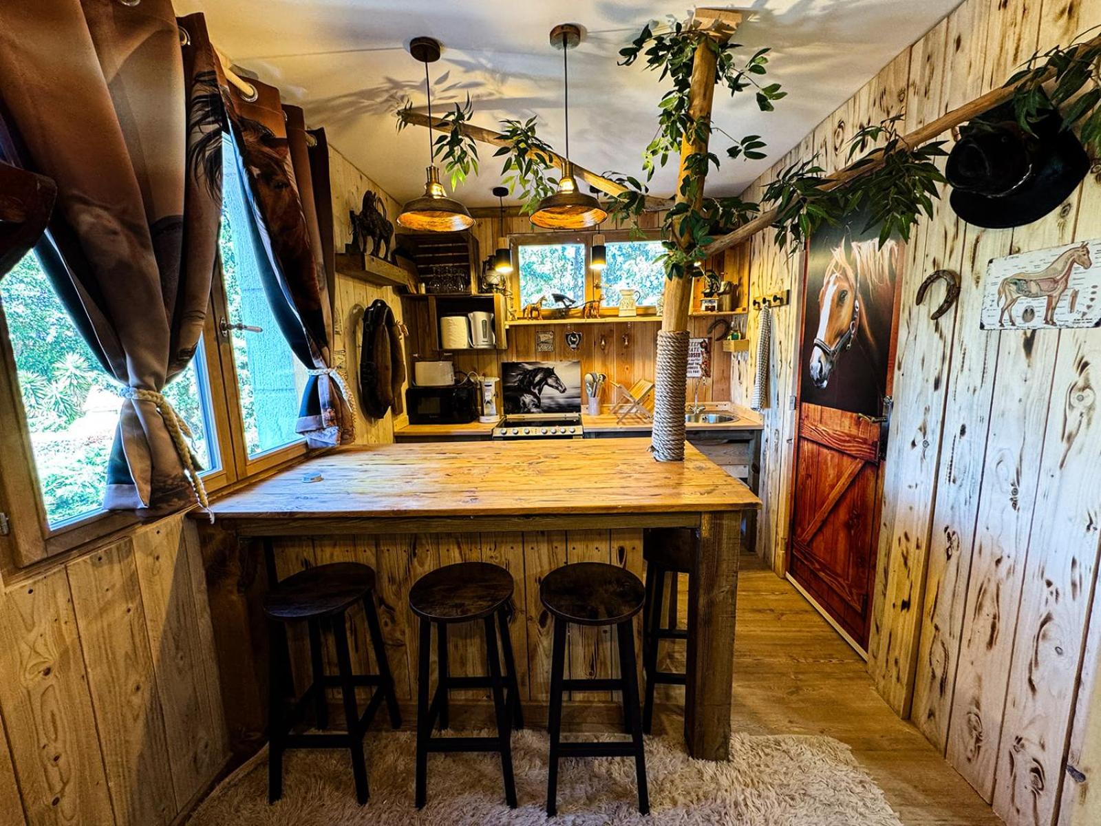 Les Chambres de Paulette à Thème LE RANCH