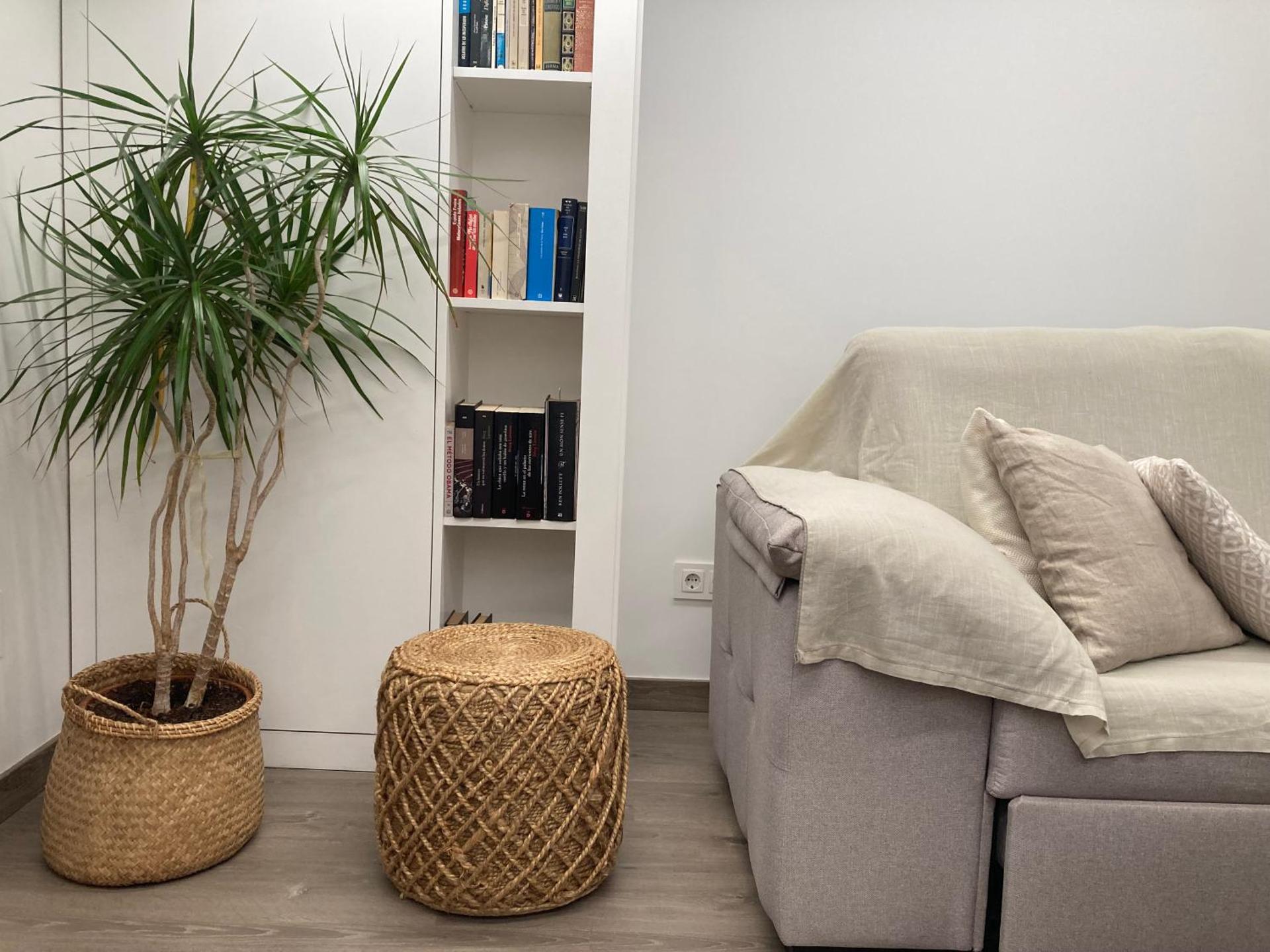 Apartamento céntrico con WIFI y climatizado de 1 habitación y sofá-cama para 3 personas