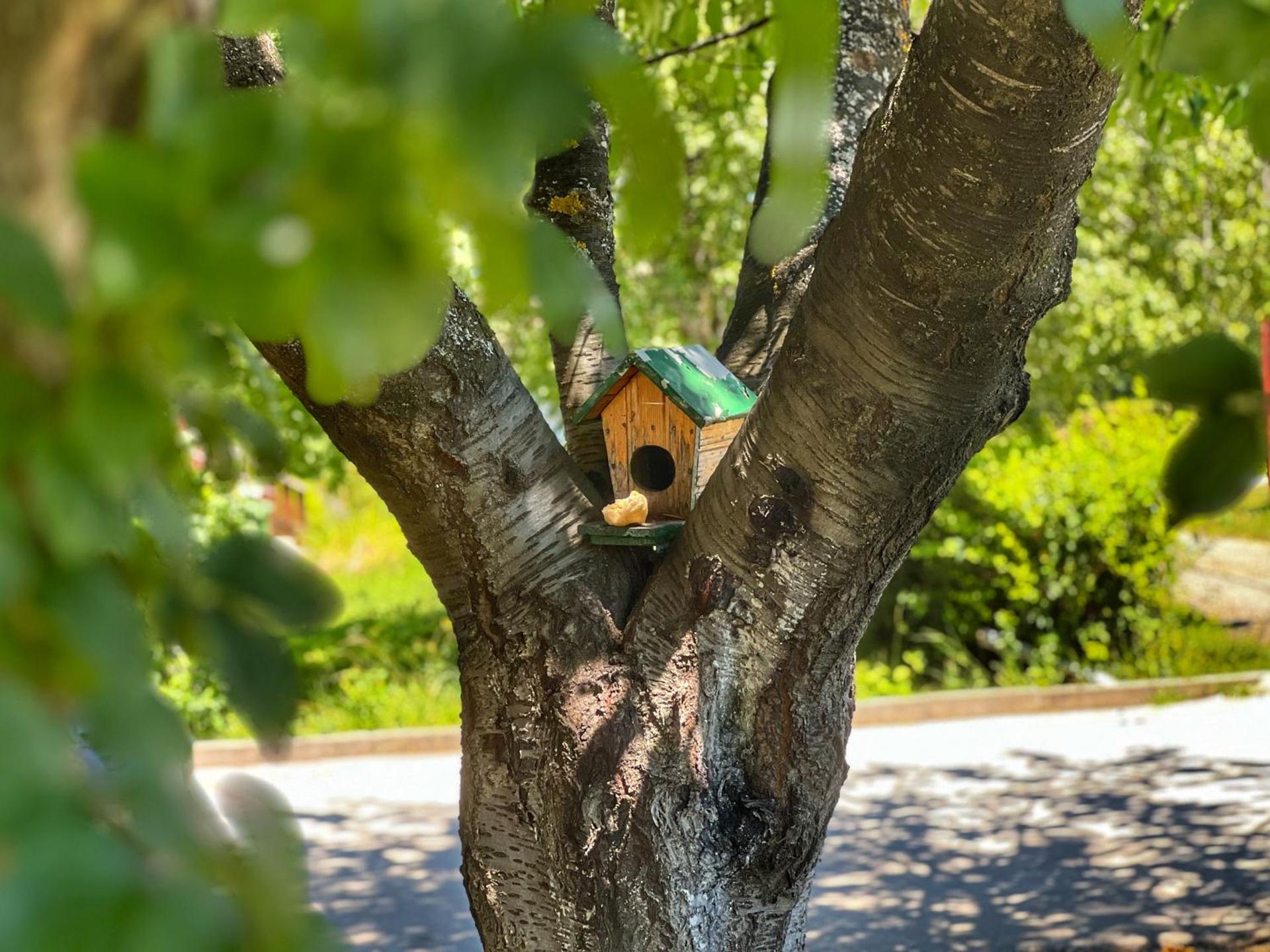 Apartman Cherry Plitvice Lakes