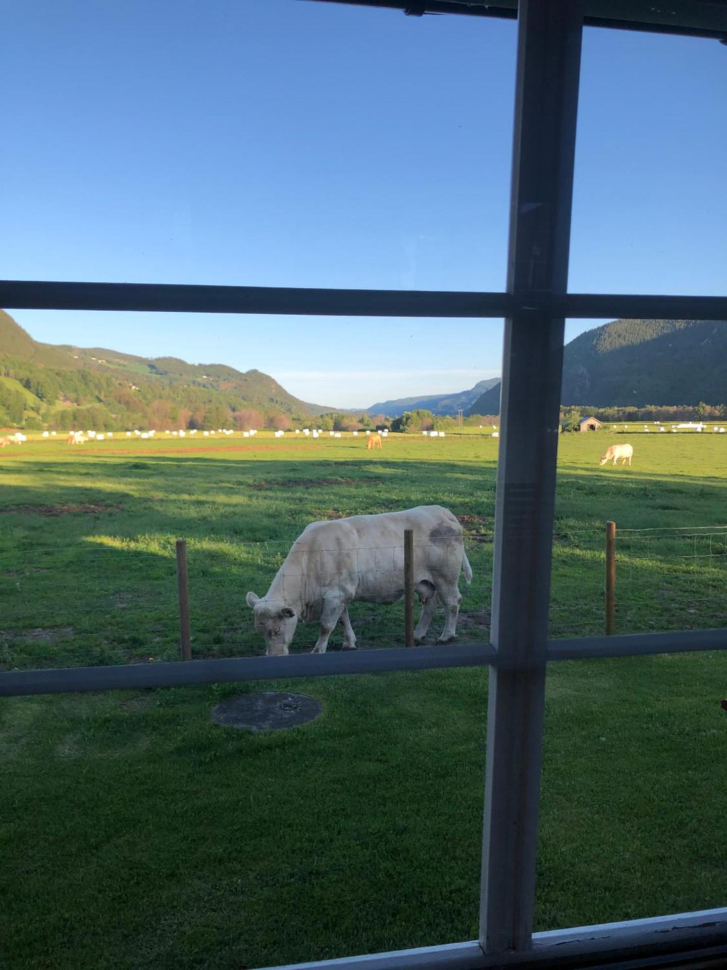 View (from property/room)