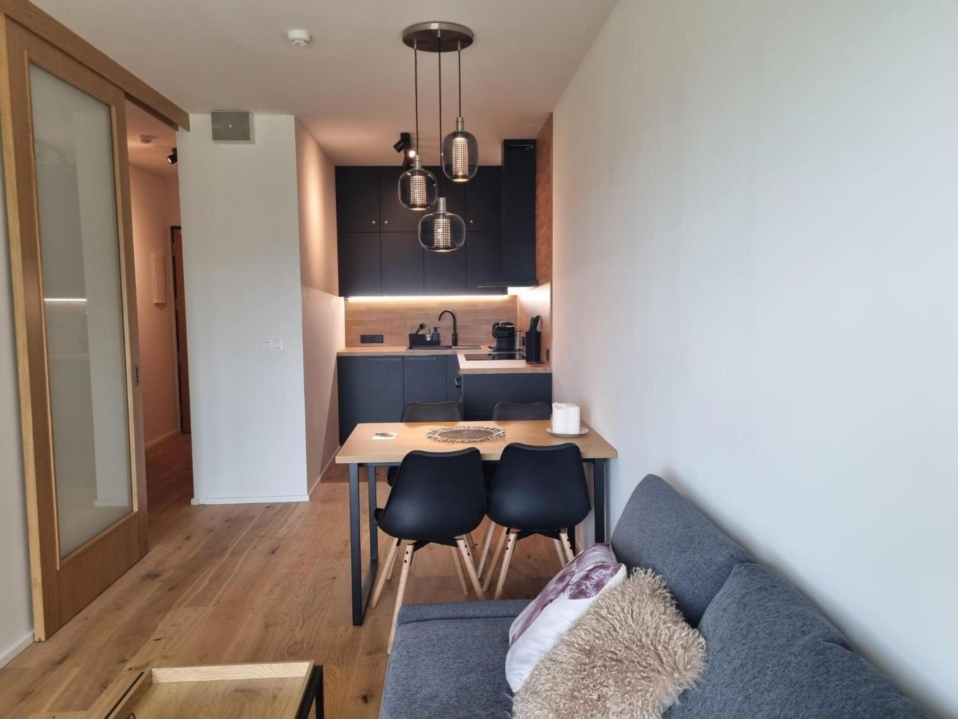 One-Bedroom Apartment with Balcony and Mountain View  