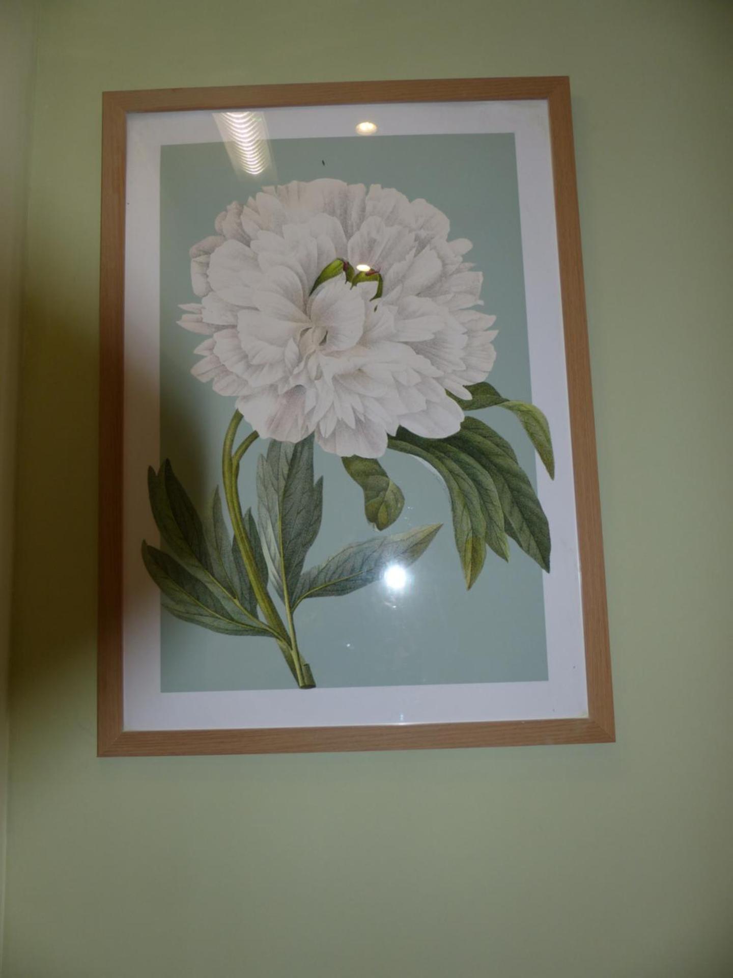 Marldon Olympia Hotel