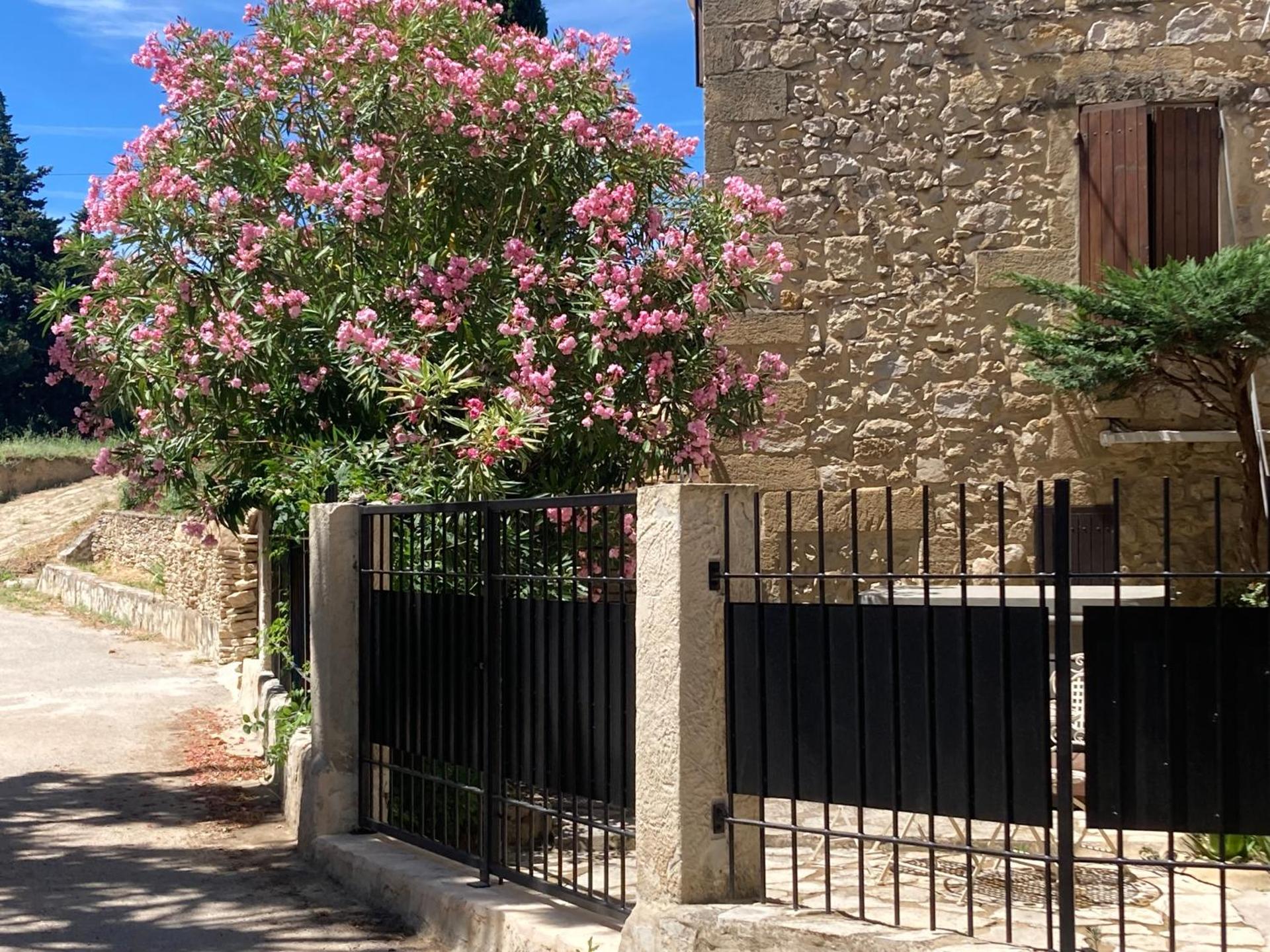 Le Studio d Aurélie avec SPA été en pleine campagne et proche de toute commodité