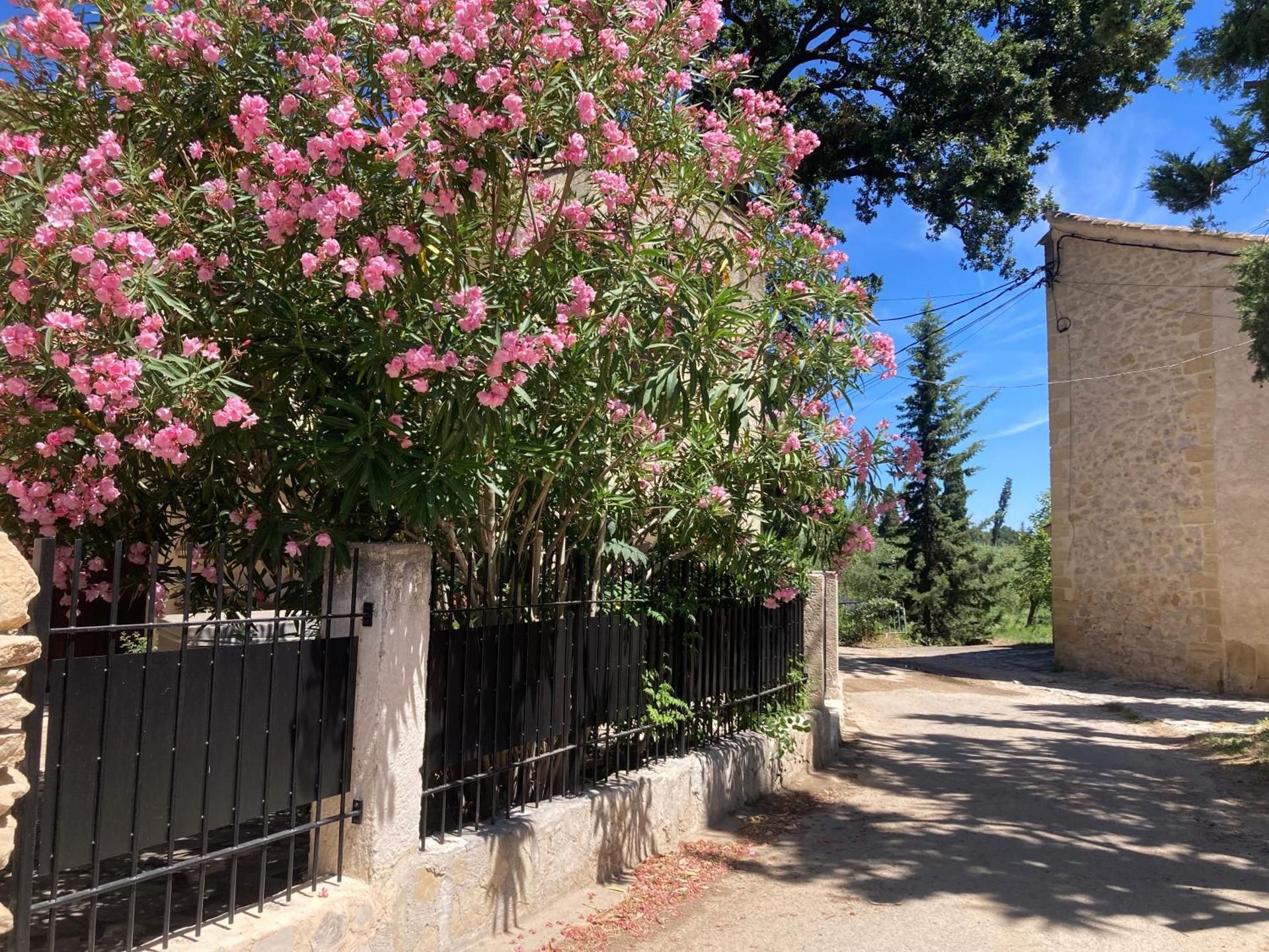 Le Studio d Aurélie avec SPA été en pleine campagne et proche de toute commodité