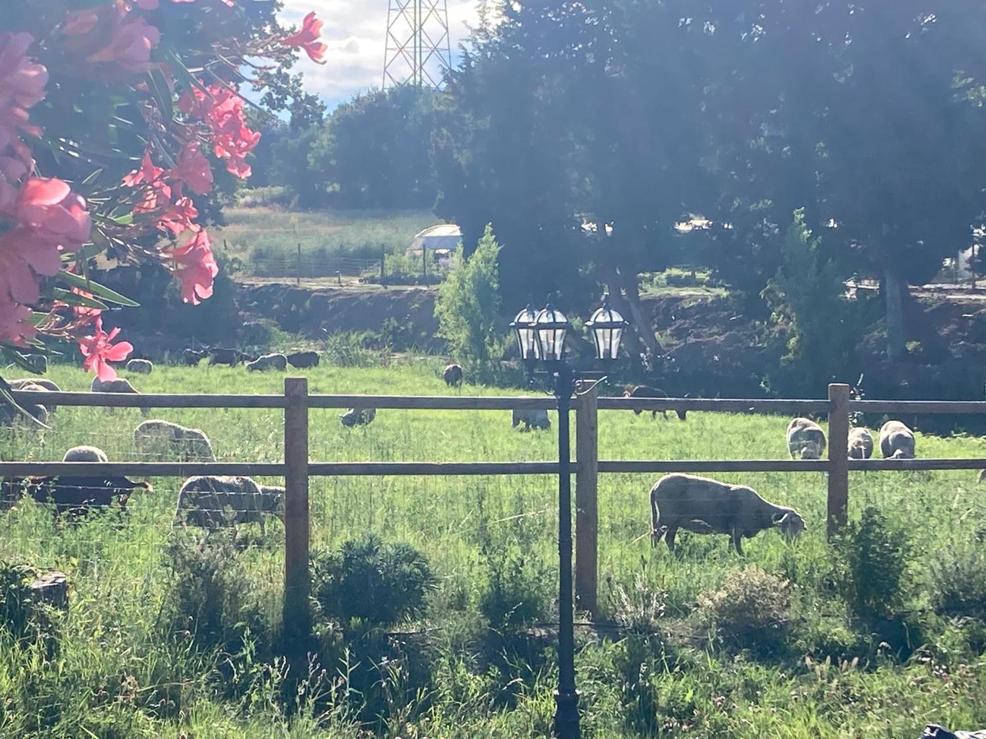 Le Studio d Aurélie avec SPA été en pleine campagne et proche de toute commodité