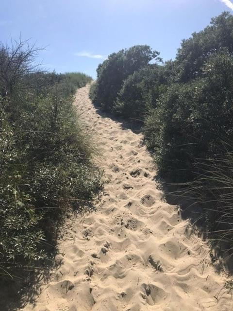 Duinstrand Burgh-Haamstede