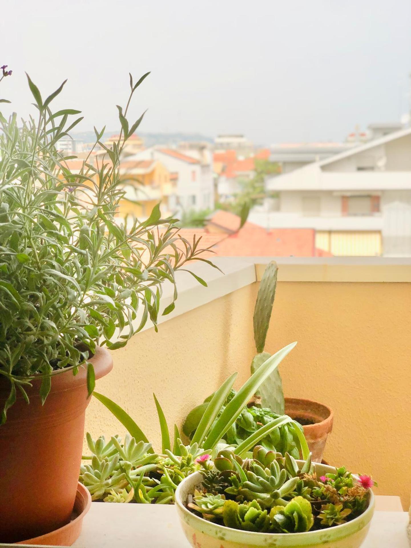 Sabbia - Il tuo alloggio a due passi dal mare