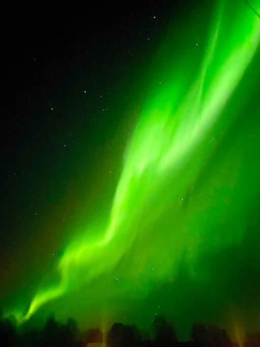 Elegant and Cosy Log Lodge Villa Aurora