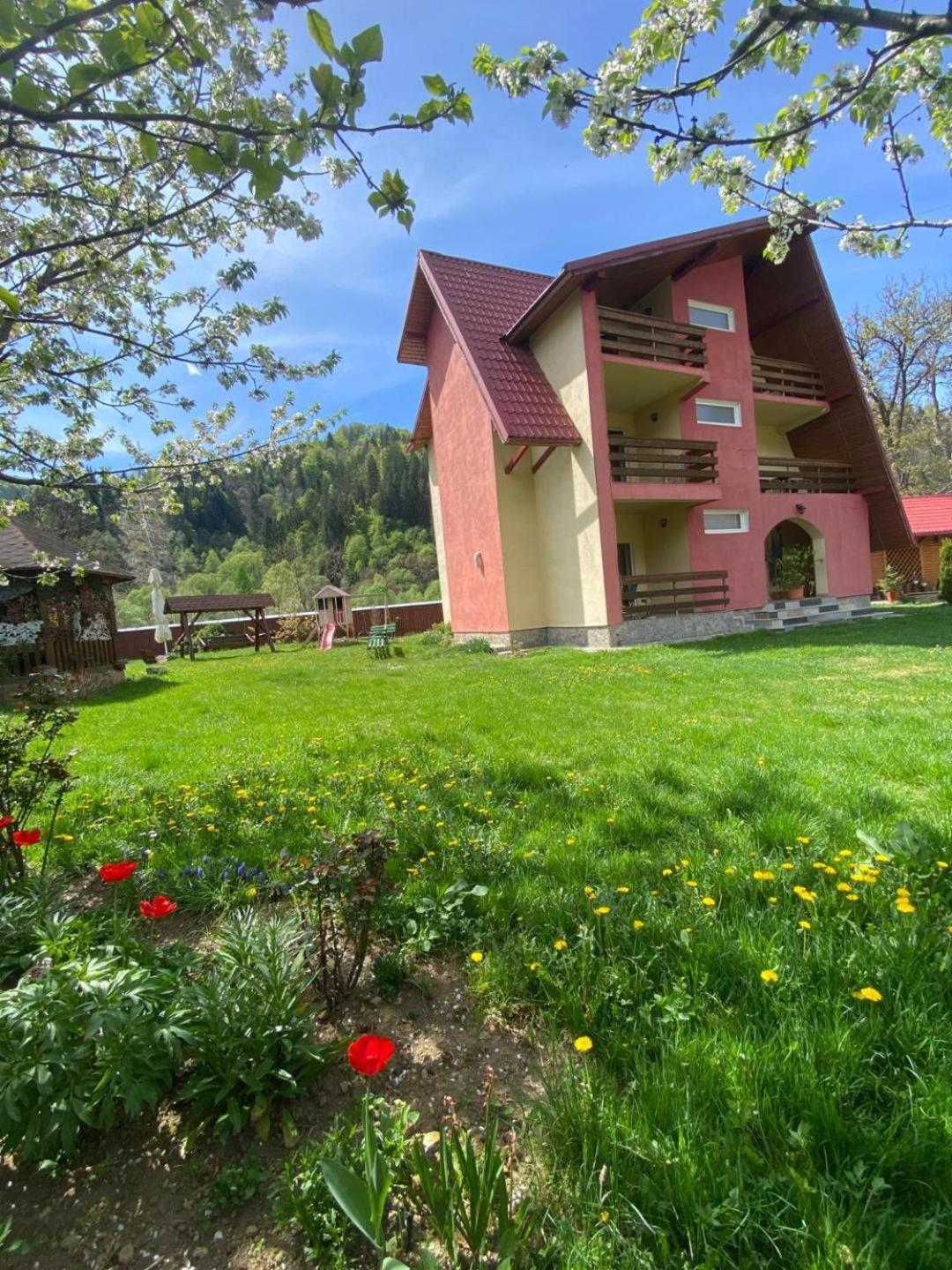 Pensiunea BUJOR DE MUNTE