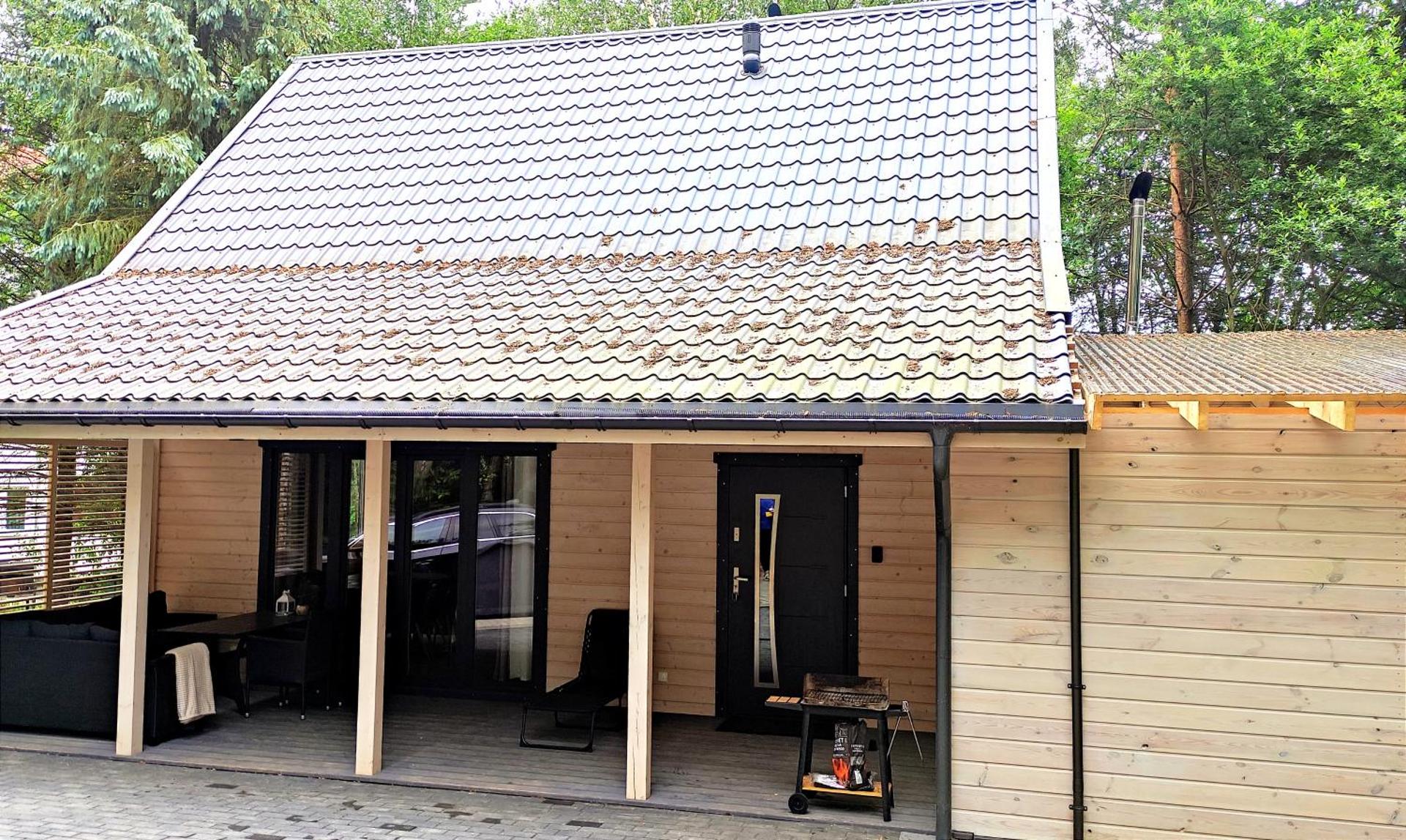 Świerkowisko cisza las plaża blisko