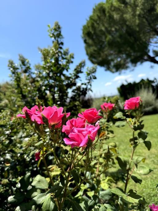 Casa vacanze Gemma Toscana