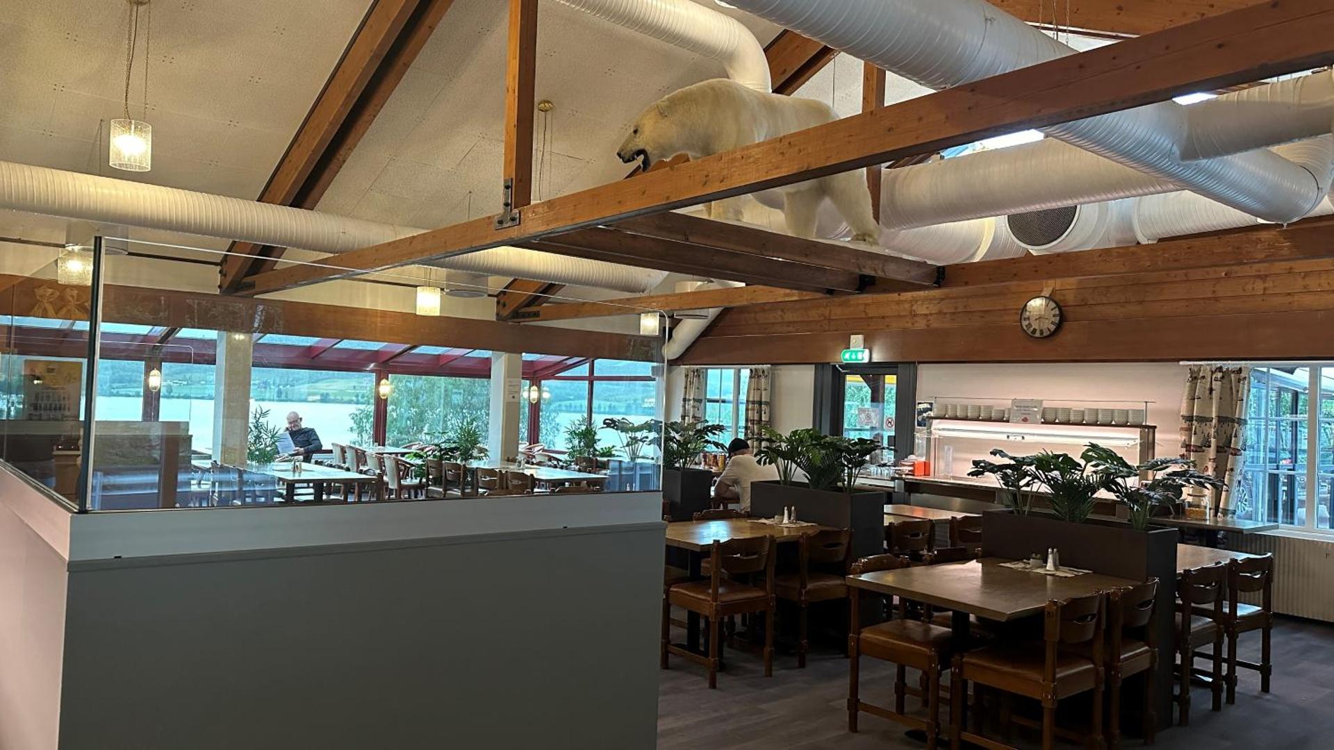 Restaurant/places to eat