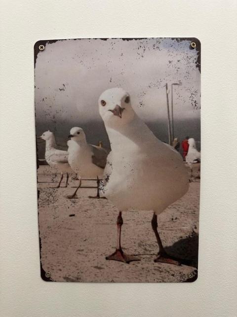 Appartement 6 pers Prado Métro Parking gratuit et Wifi