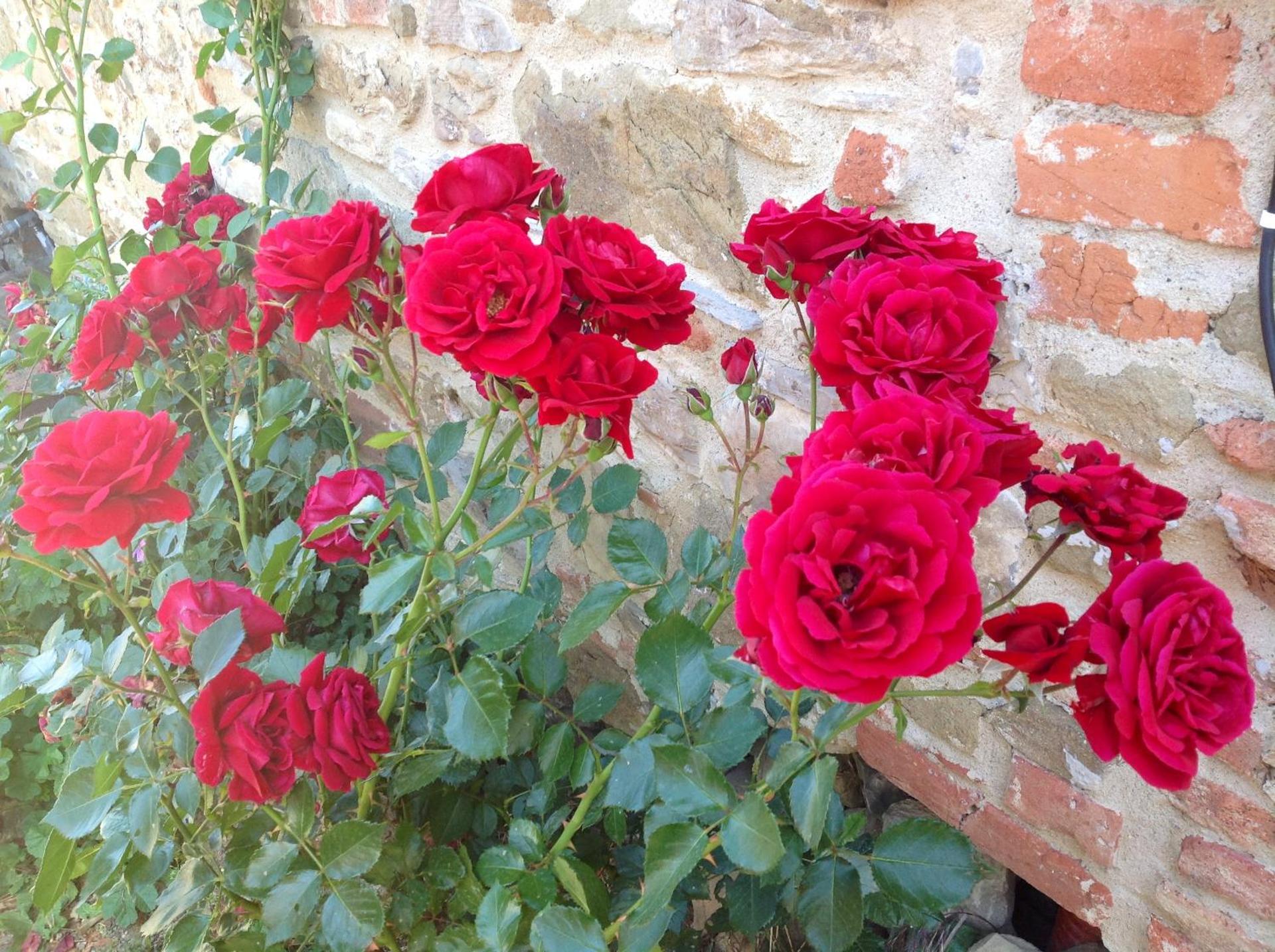 Agriturismo Prato Barone