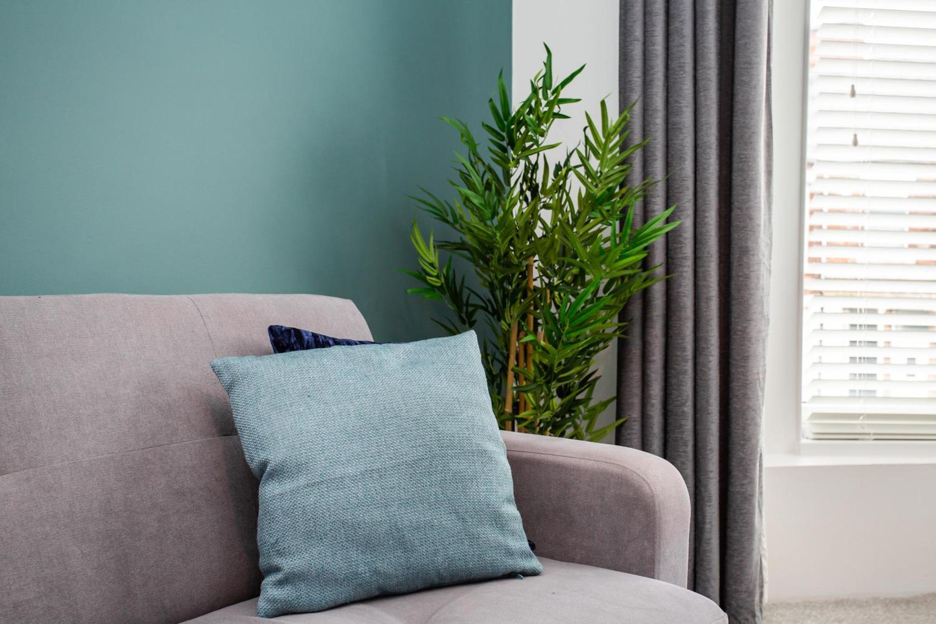 The Imeary - Vacant Nests