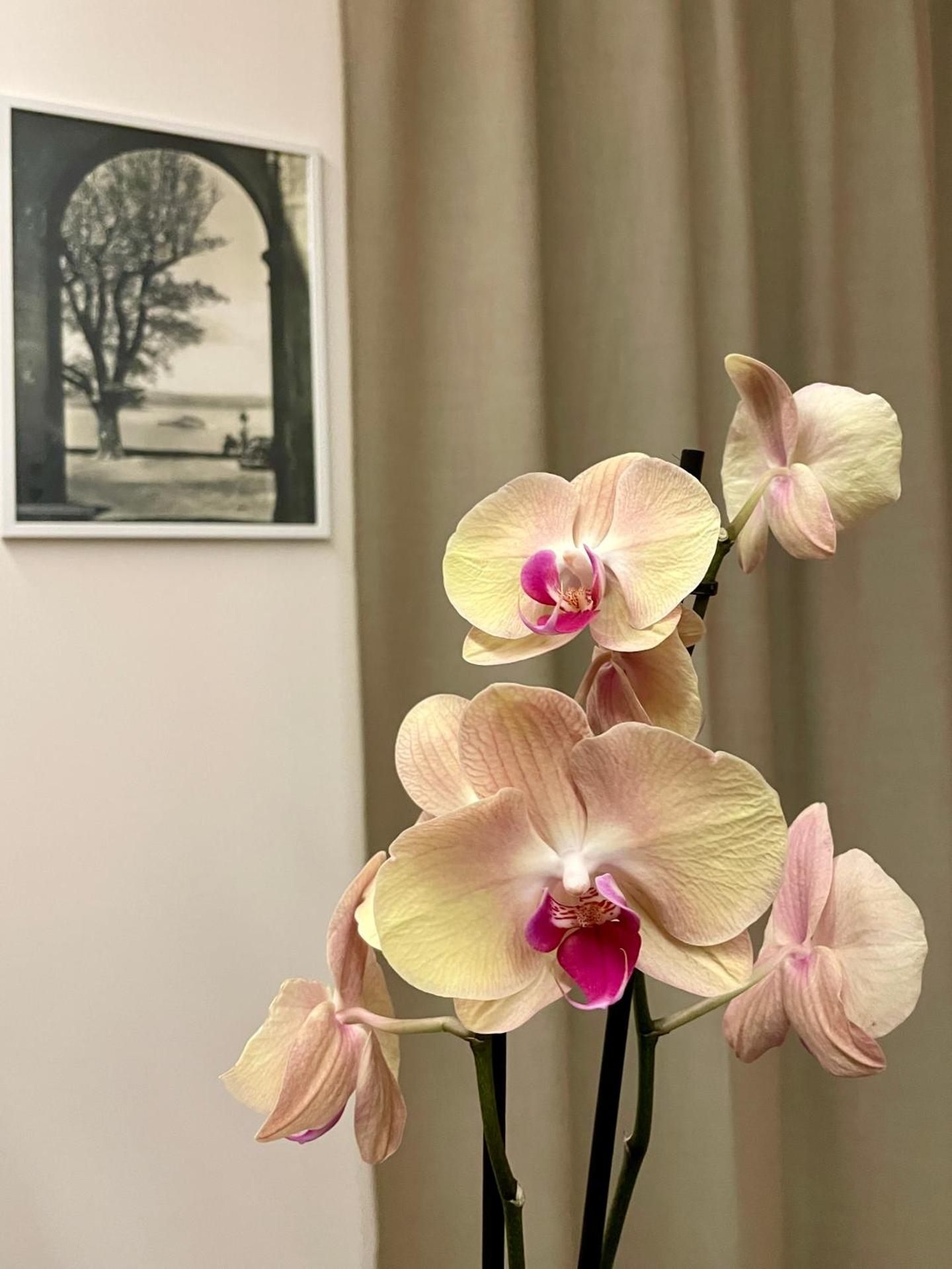 Residenza Margherita