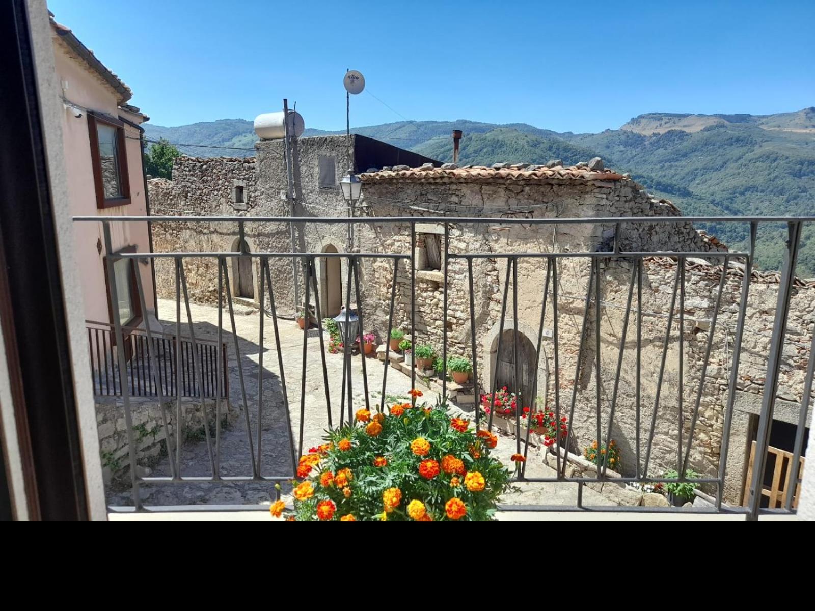 View (from property/room)