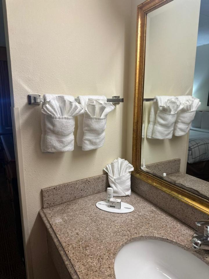 Double Room with Two Double Beds - Non-Smoking