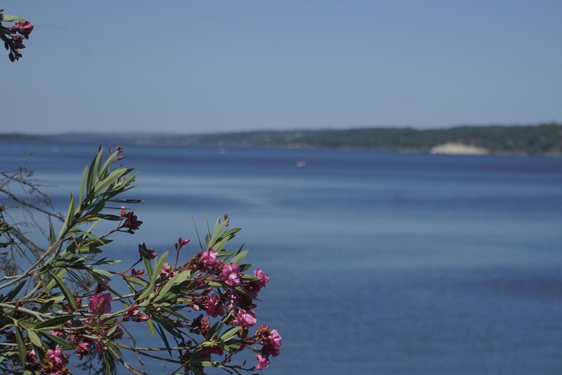 Casa da Avó Ana - Montargil