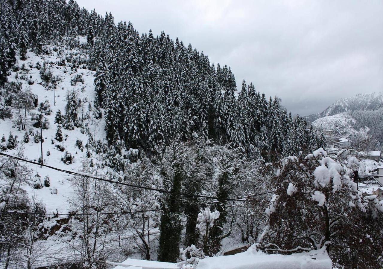 View (from property/room)