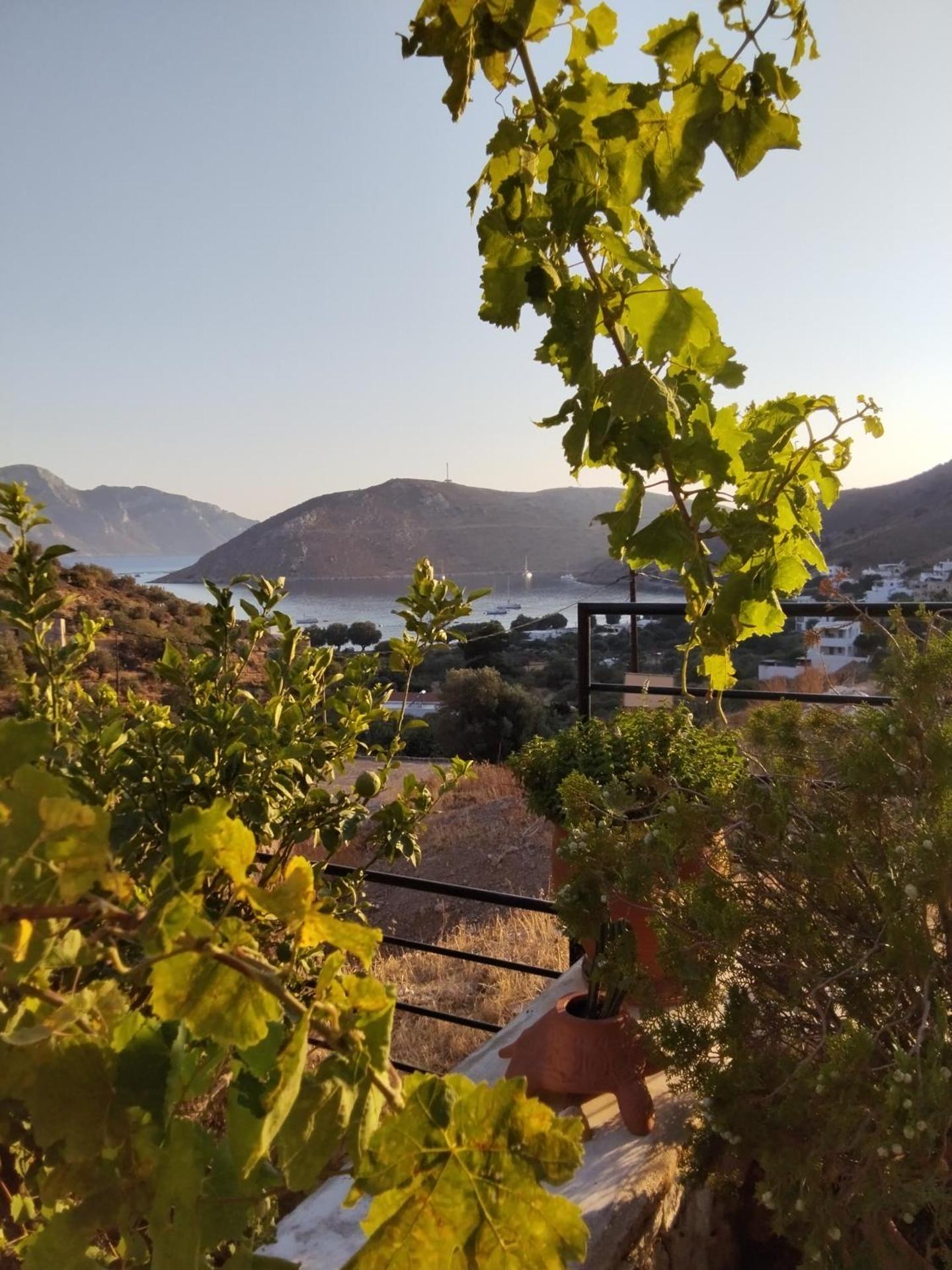 Calliope stone house