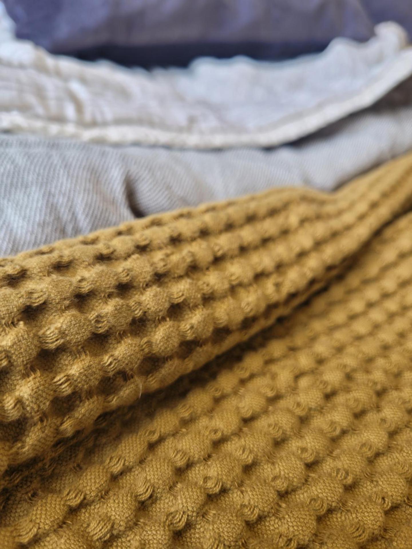 Tylda Tents at Tregonetha Lake - 5m Luxury Bell Tent "Moorhen"