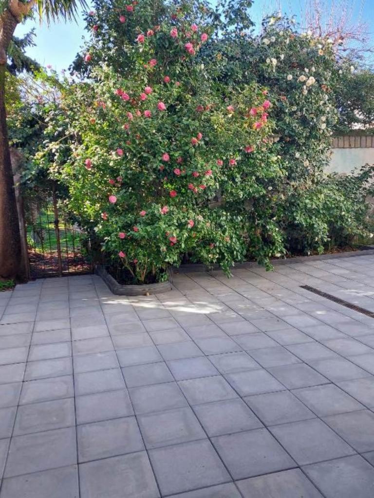 La casa delle Camelie