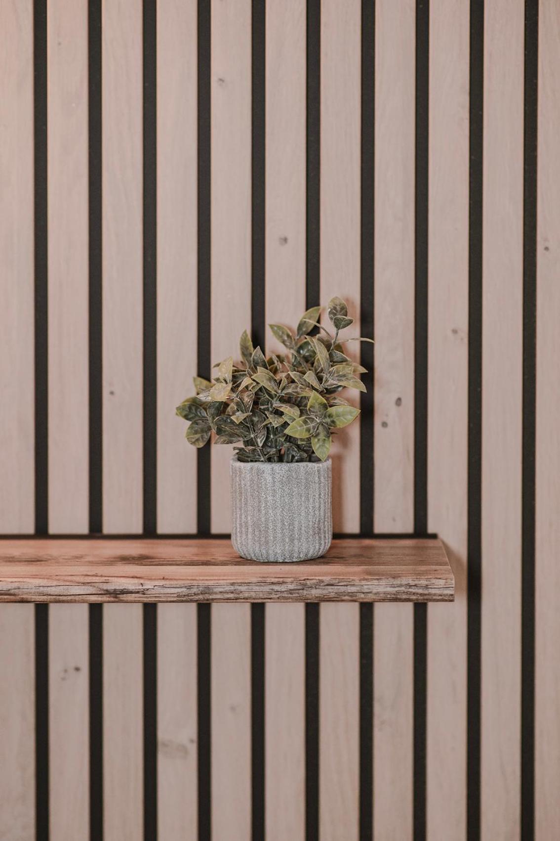 Les Suites de l'Étang