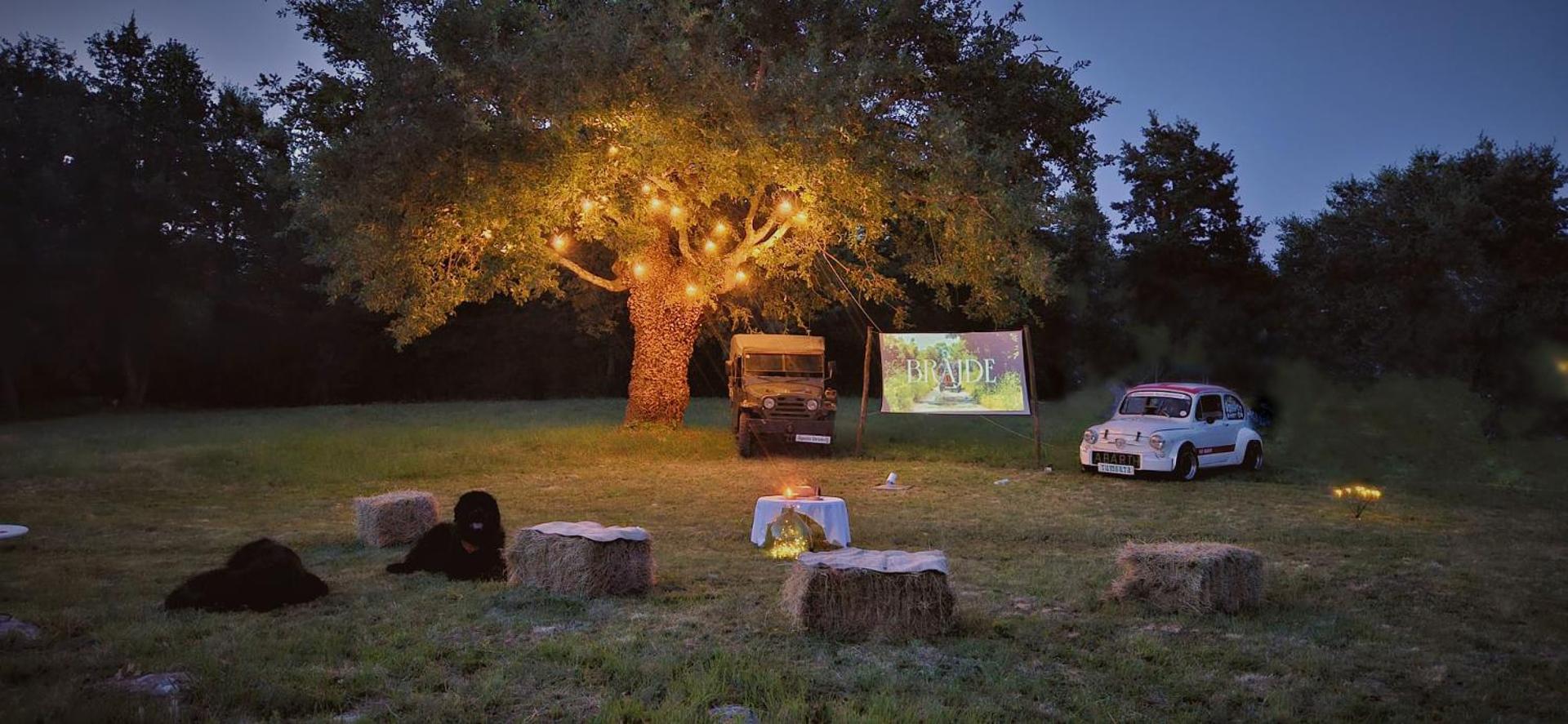 Evening entertainment