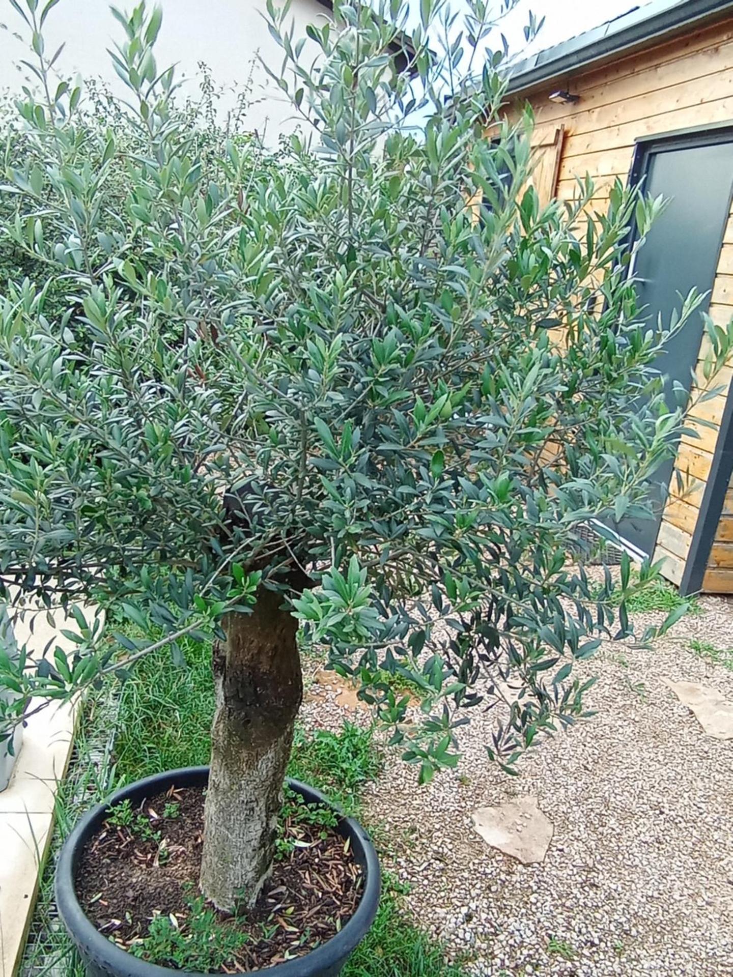 Chambres cosy proche cnpe Bugey - via rhona