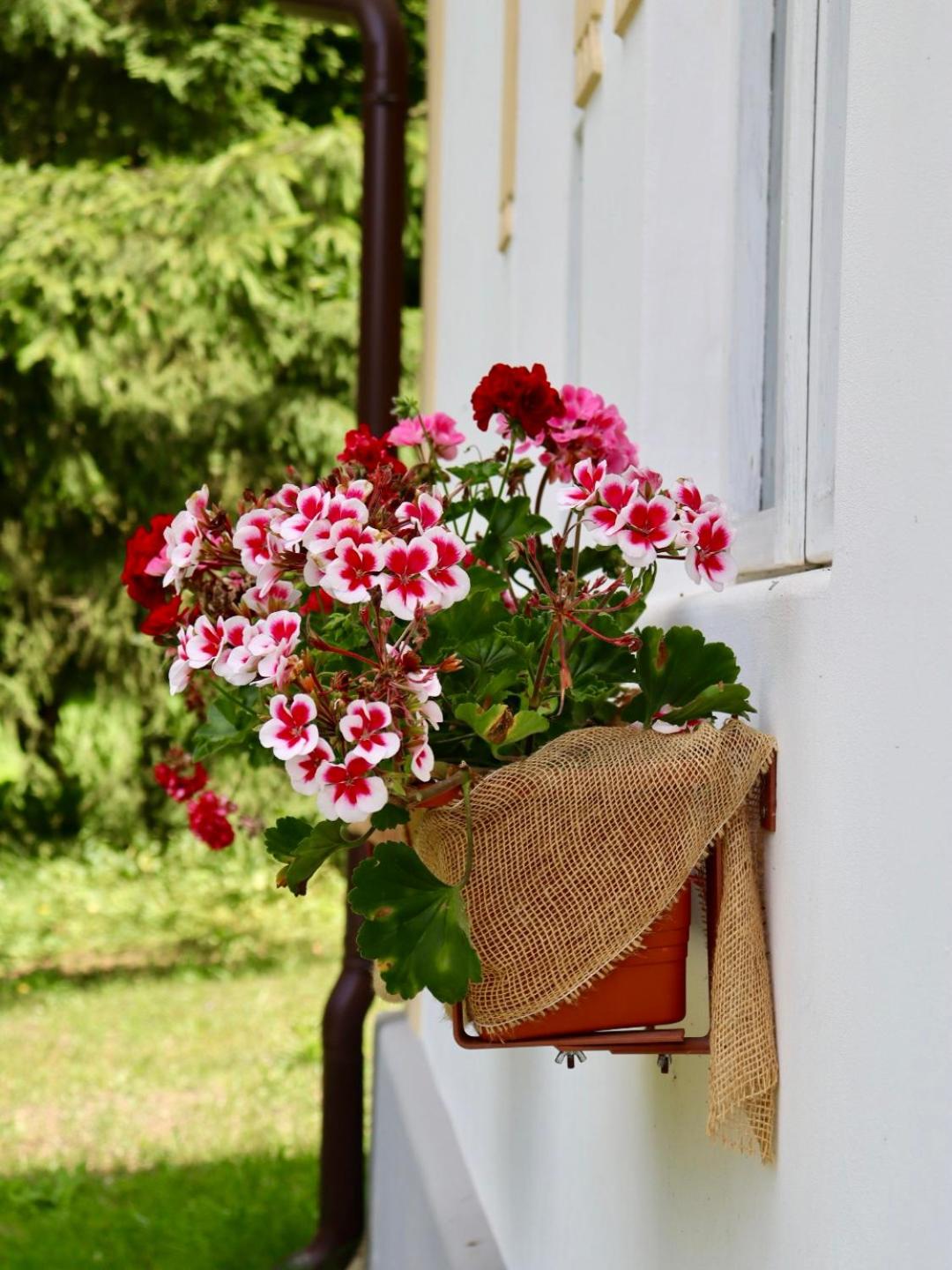 Hlučov Lesní Chalupa