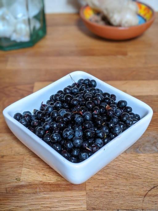 Secluded Private Cottage Hot-tub, Sauna & Fire-pit