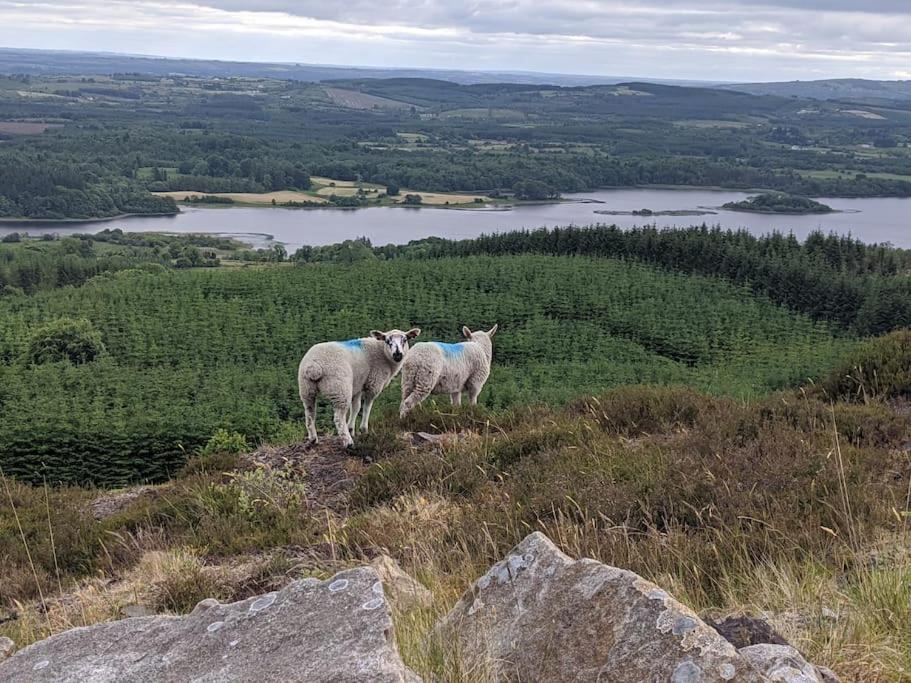 Secluded Private Cottage Hot-tub, Sauna & Fire-pit