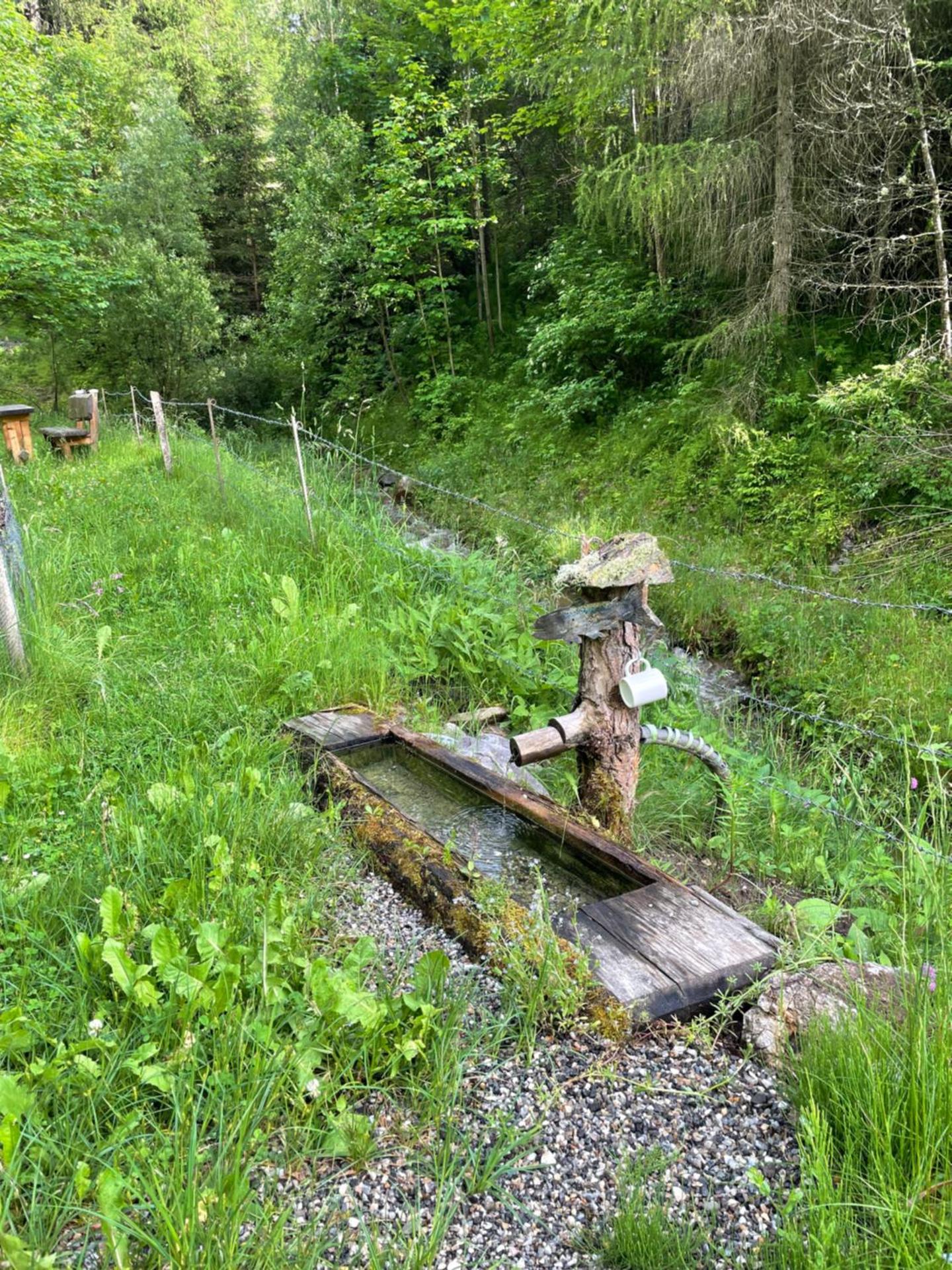 Ferienwohnung Anneliese