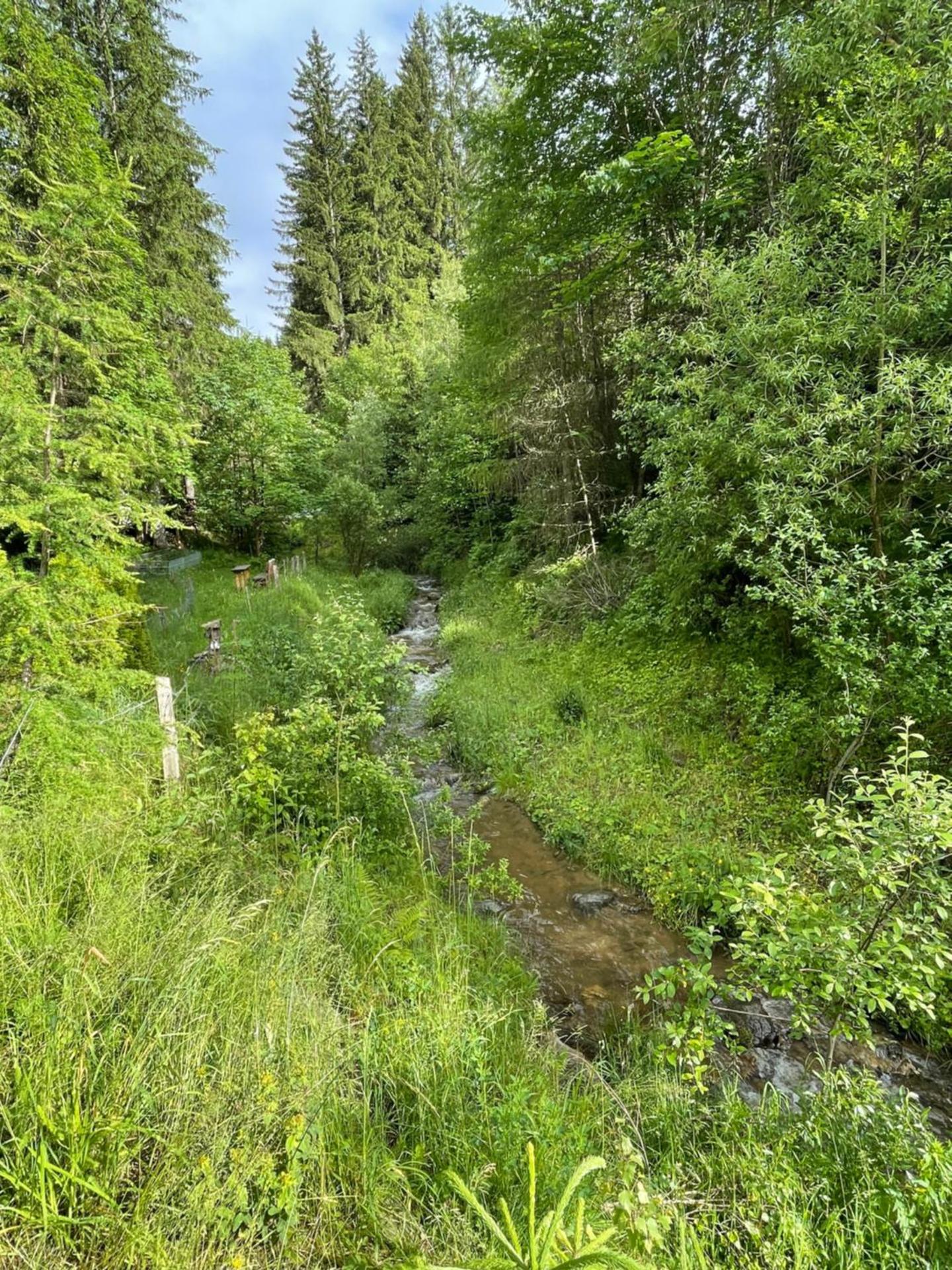 Ferienwohnung Anneliese