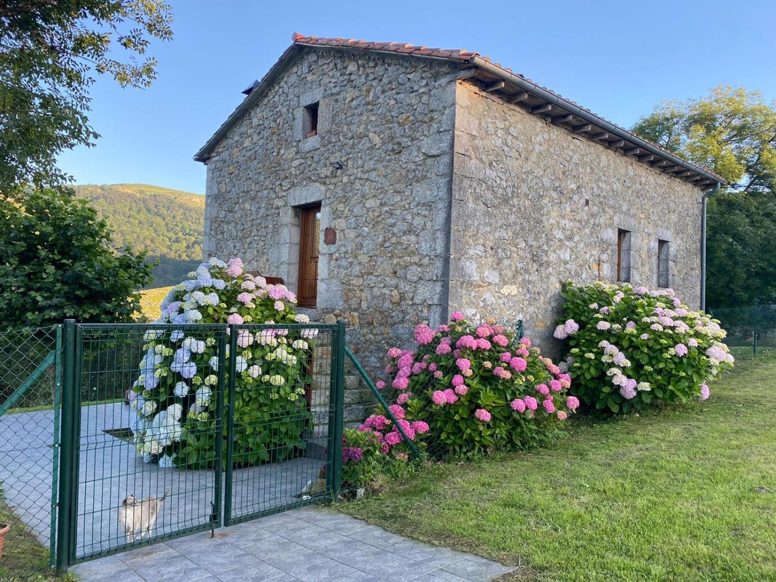Casa Rural El Salvijo