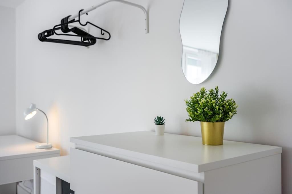 Le Chaleureux, Appartement fraîchement rénové