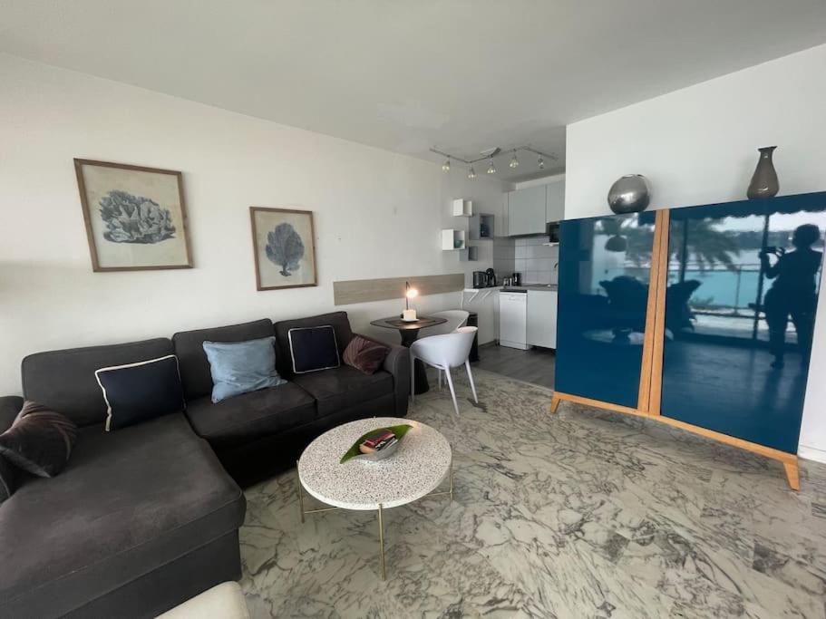 Appartement Antibes terrasse en front de mer