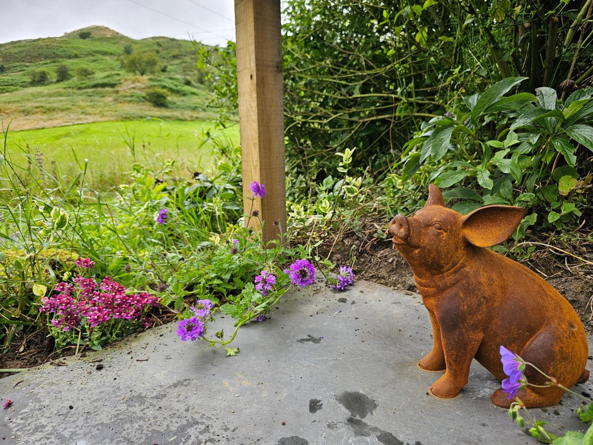 Newland Valley Log Cabins