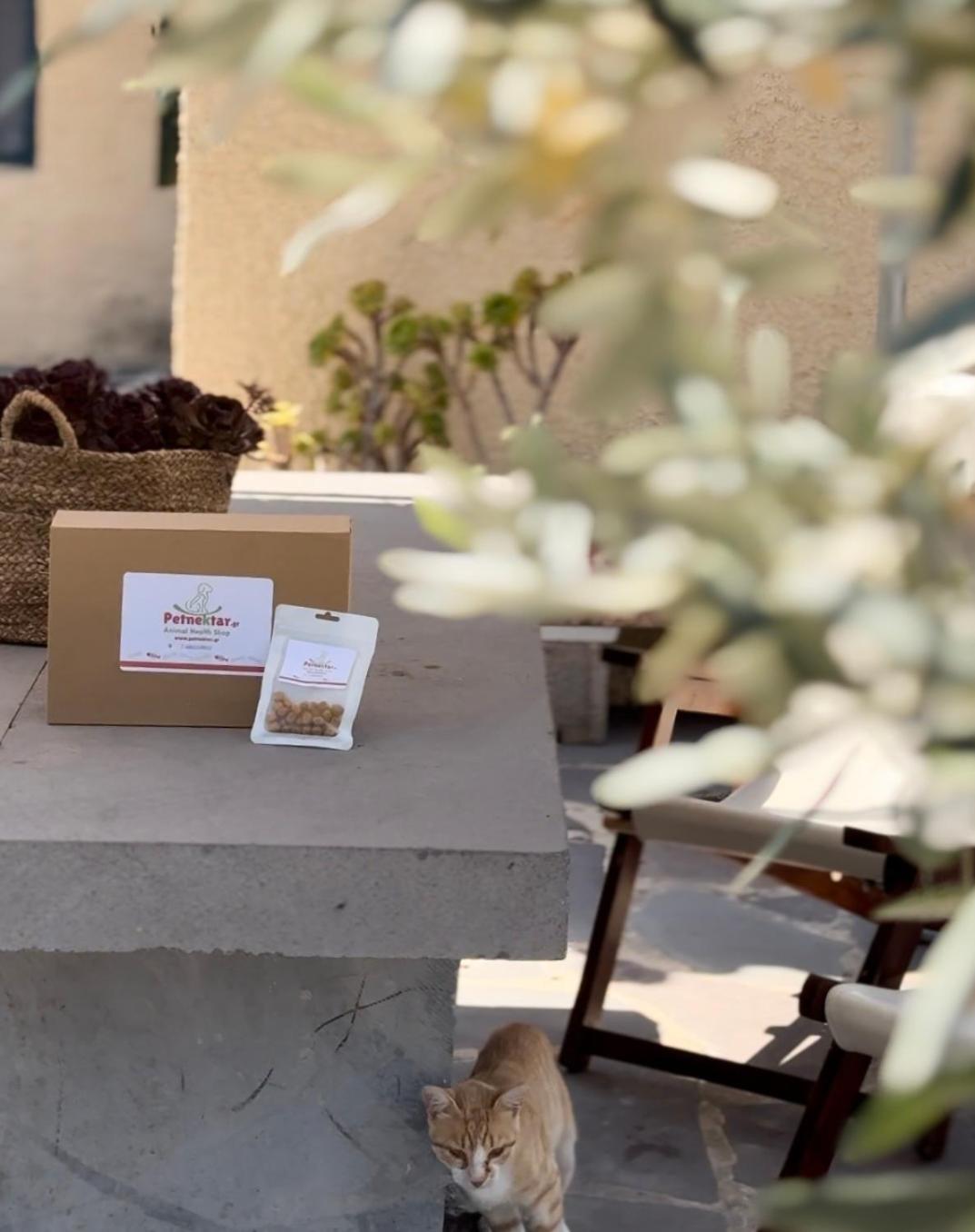 Kontos Village House