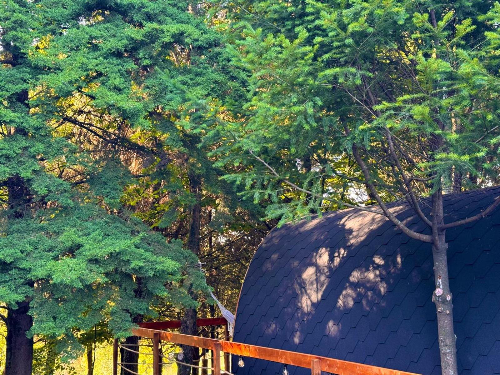 Glicínia Boutique Hotel