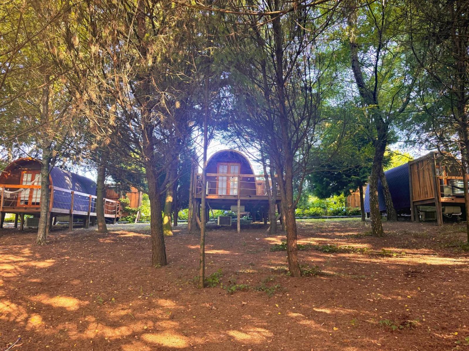 Glicínia Boutique Hotel