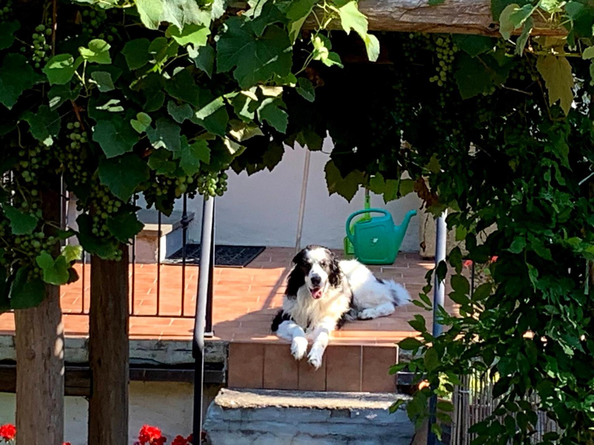 La Torre del Vicario