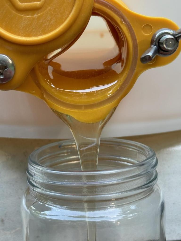 Trekker, Treehouses cabins and lodge rooms