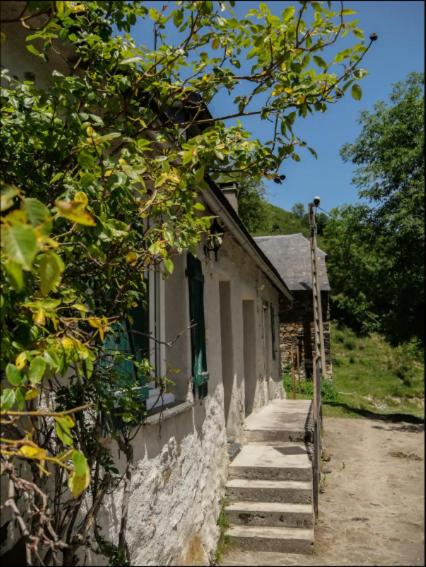 Gîte familial en pleine nature