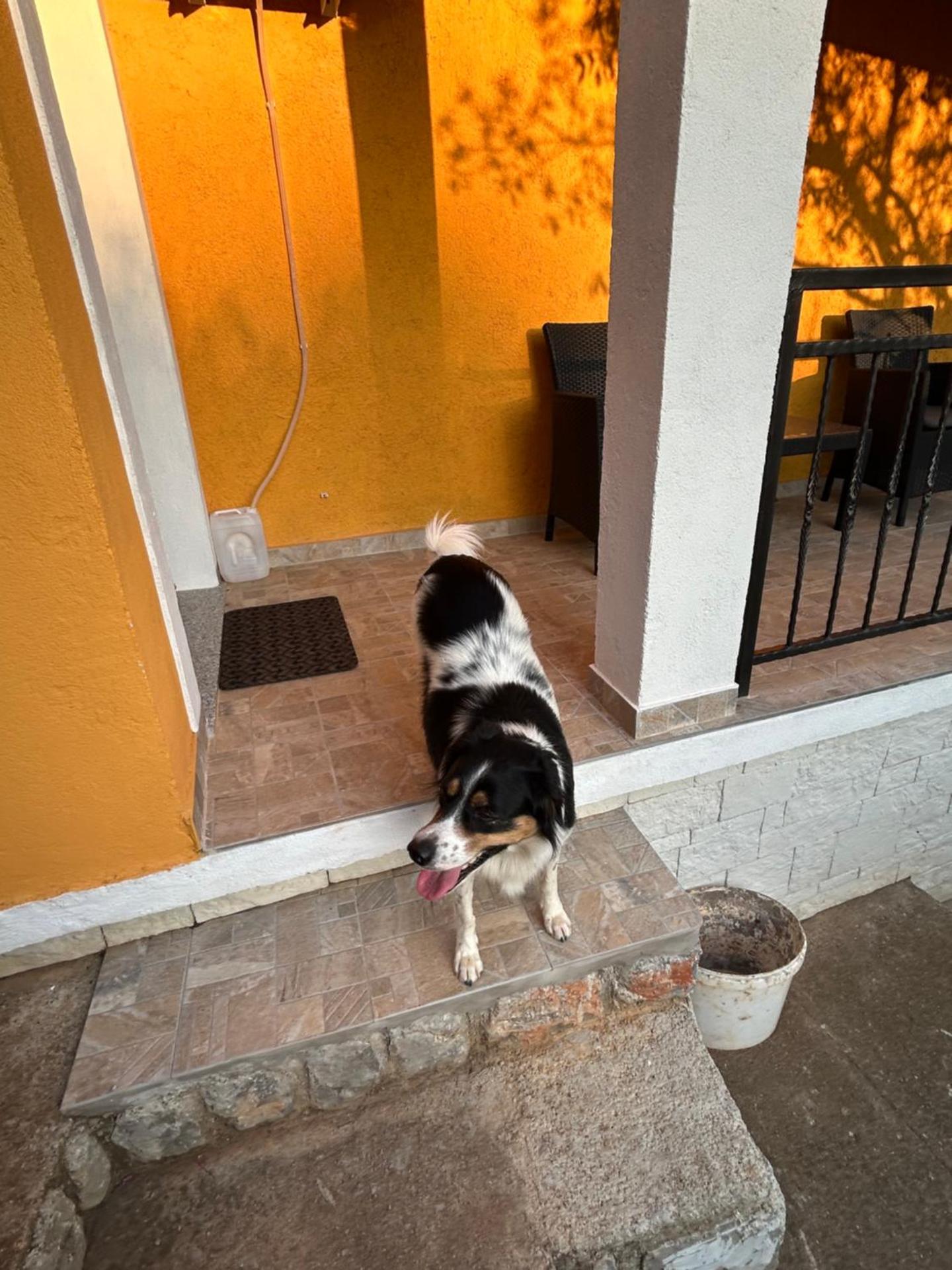 Apartments Spalj 1 i 2